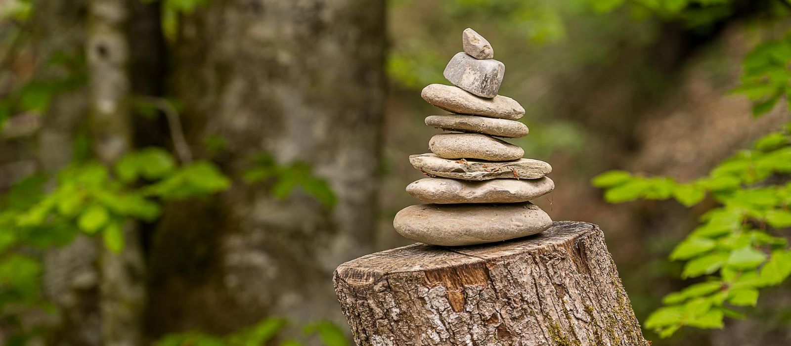 5 handy savings habits in 5 minutes